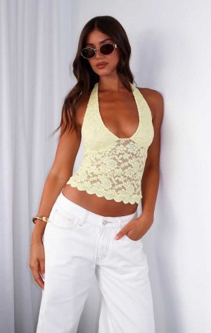 White Fox Had Enough Halter Top Lemon | BFWKED-617