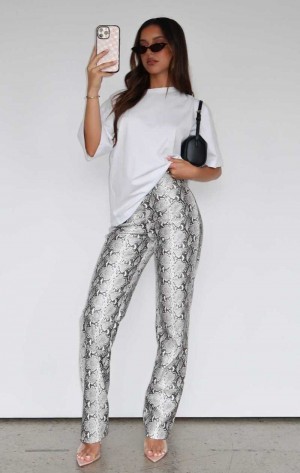 White Fox Snake Bite PU Pants Snake | IMGZND-493