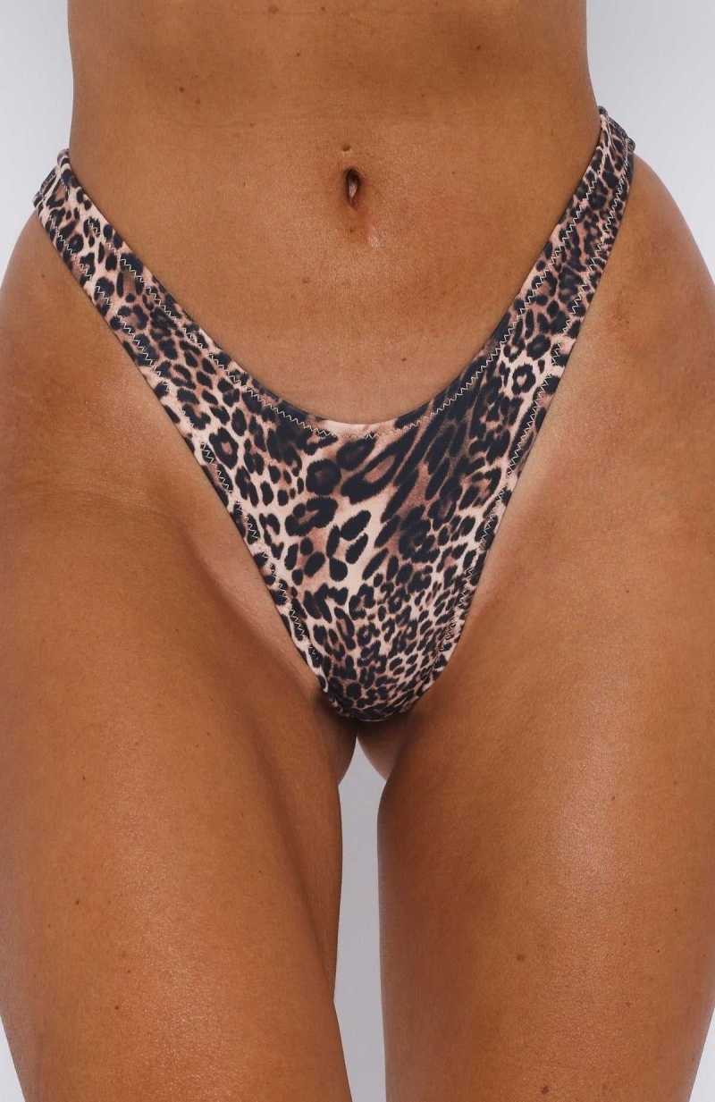 White Fox Belmont Bottoms Cheetah | LZQMEG-213