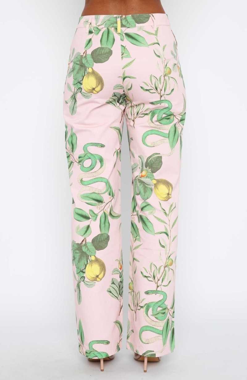 White Fox Here To Stay Pants Pink Serpent | GFHCPI-598