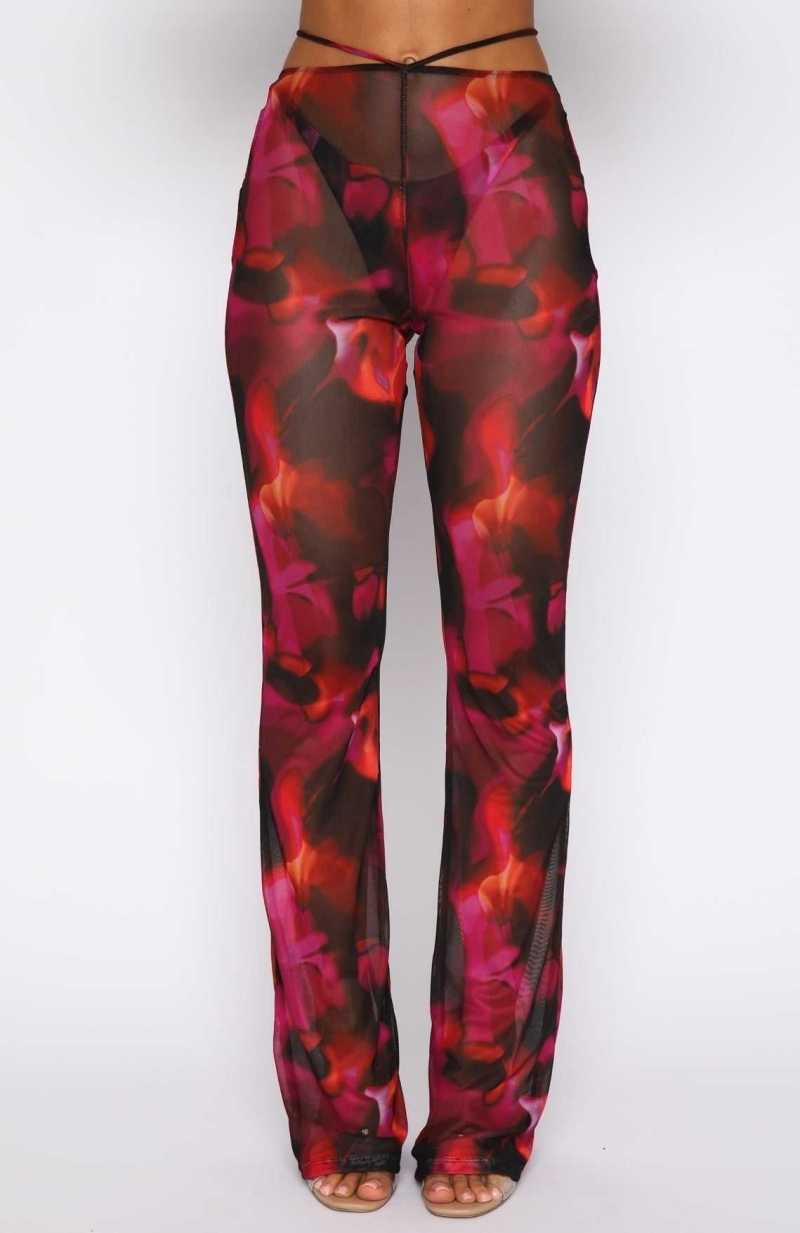 White Fox Rhythm Of The Night Pants Pink Flame Print | YAHPWR-128