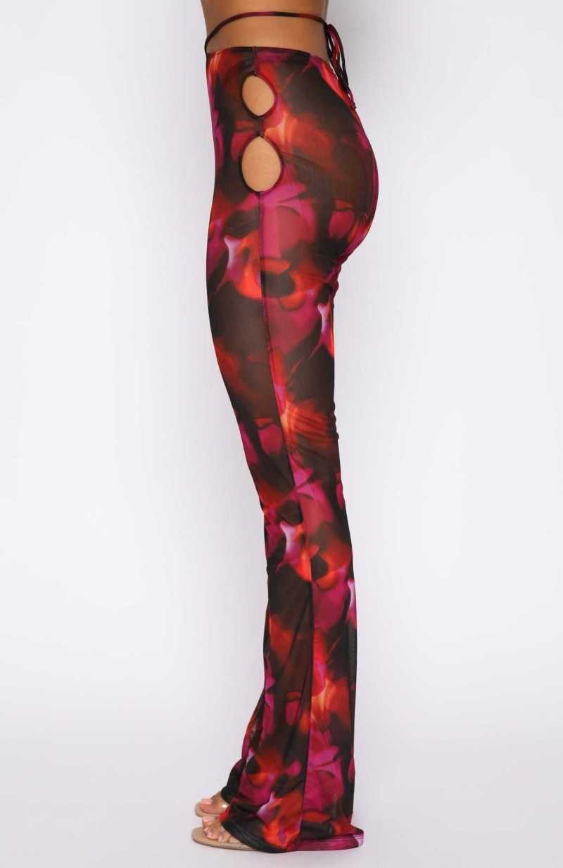 White Fox Rhythm Of The Night Pants Pink Flame Print | YAHPWR-128