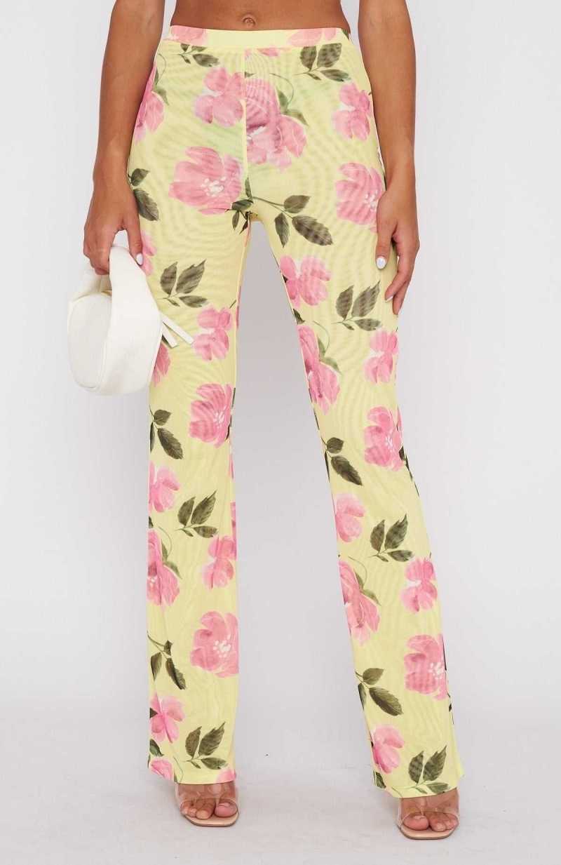 White Fox Summer In The City Pants Lemon Rose | DYVXZJ-865