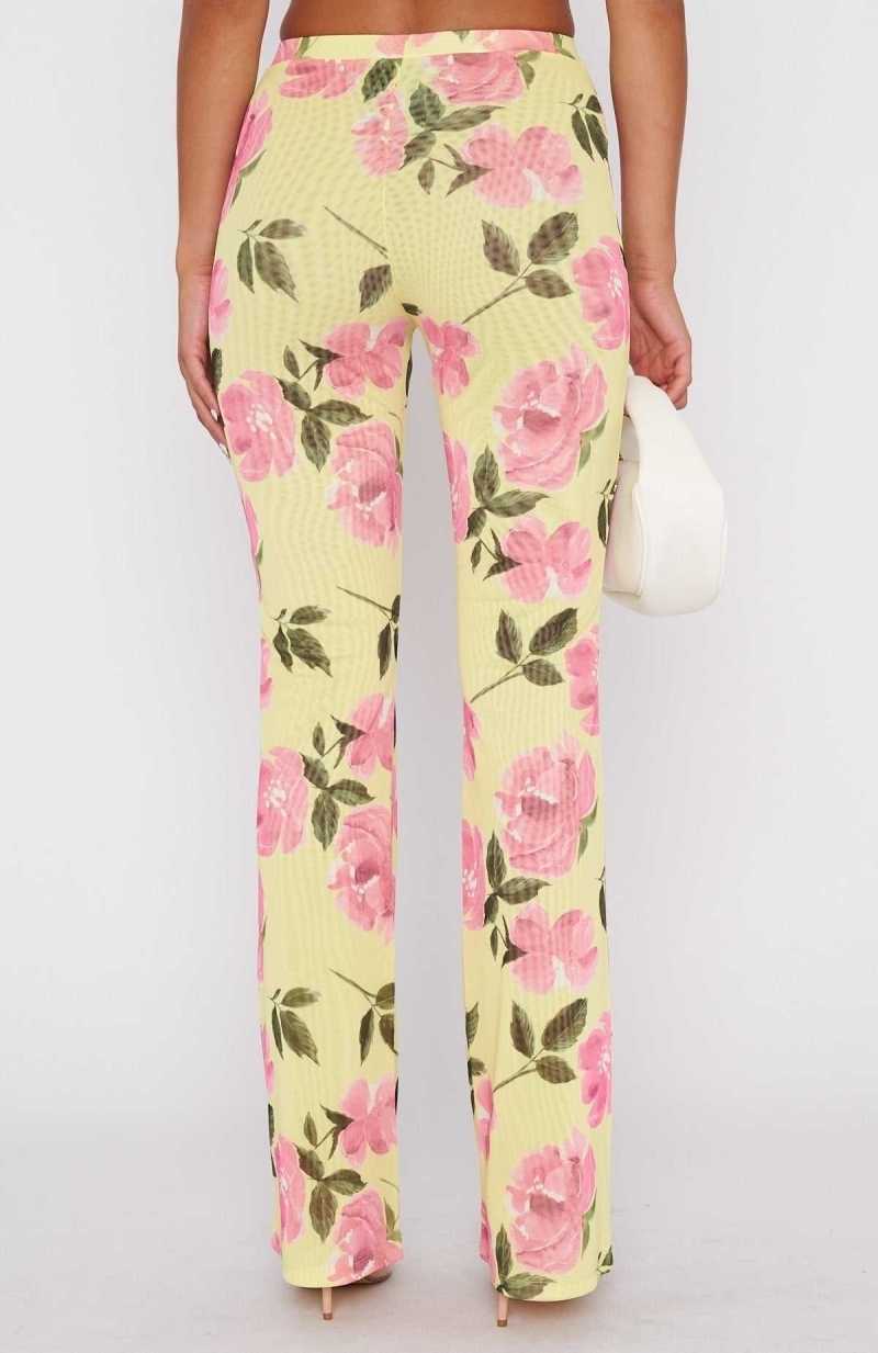 White Fox Summer In The City Pants Lemon Rose | DYVXZJ-865